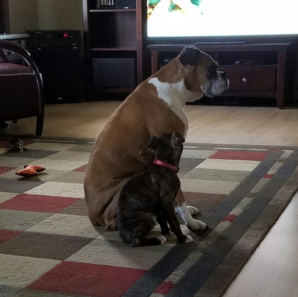 Meet your Posher, Amy